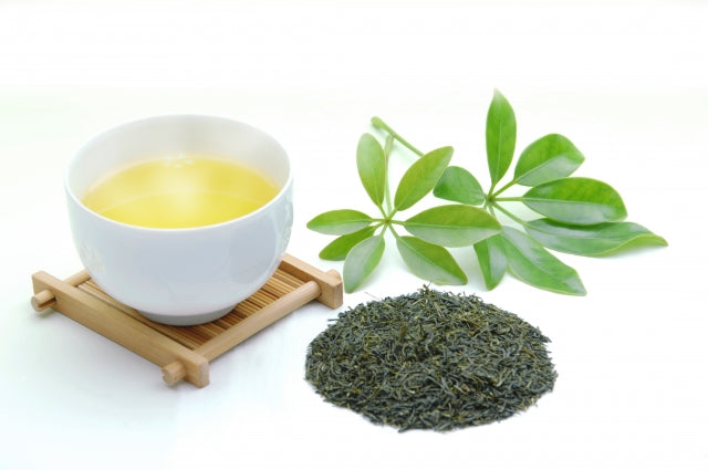 Brewing Green Tea - A Delightful Guide to Sencha Enjoyment